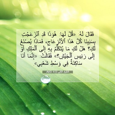 Picture 07 - اَلْمُلُوكِ ٱلثَّانِي 4:13 AVD - فَقَالَ لَهُ: «قُلْ لَهَا: - Bible Verse Picture