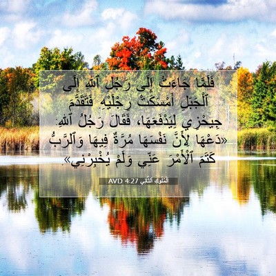 Picture 07 - اَلْمُلُوكِ ٱلثَّانِي 4:27 AVD - فَلَمَّا جَاءَتْ إِلَى - Bible Verse Picture