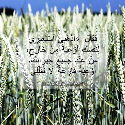 Picture 07 - اَلْمُلُوكِ ٱلثَّانِي 4:3 AVD - فَقَالَ: «ٱذْهَبِي - Bible Verse Picture