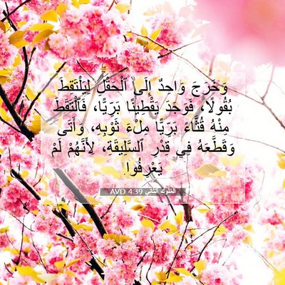 Picture 07 - اَلْمُلُوكِ ٱلثَّانِي 4:39 AVD - وَخَرَجَ وَاحِدٌ إِلَى - Bible Verse Picture