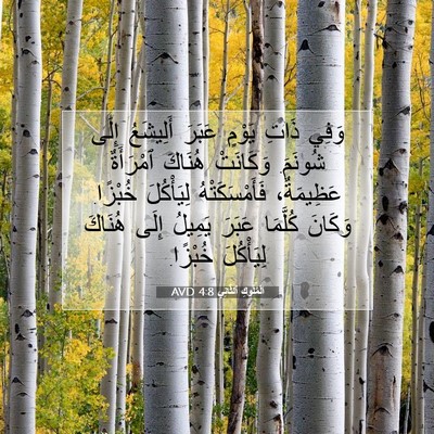 Picture 07 - اَلْمُلُوكِ ٱلثَّانِي 4:8 AVD - وَفِي ذَاتِ يَوْمٍ عَبَرَ - Bible Verse Picture
