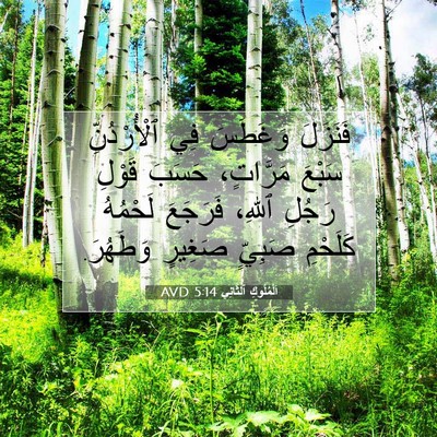 Picture 07 - اَلْمُلُوكِ ٱلثَّانِي 5:14 AVD - فَنَزَلَ وَغَطَسَ فِي - Bible Verse Picture