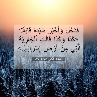 Picture 07 - اَلْمُلُوكِ ٱلثَّانِي 5:4 AVD - فَدَخَلَ وَأَخْبَرَ - Bible Verse Picture