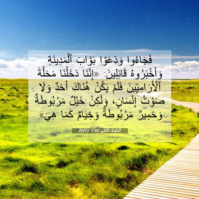 Picture 07 - اَلْمُلُوكِ ٱلثَّانِي 7:10 AVD - فَجَاءُوا وَدَعَوْا - Bible Verse Picture