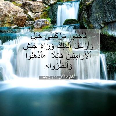 Picture 07 - اَلْمُلُوكِ ٱلثَّانِي 7:14 AVD - فَأَخَذُوا مَرْكَبَتَيْ - Bible Verse Picture