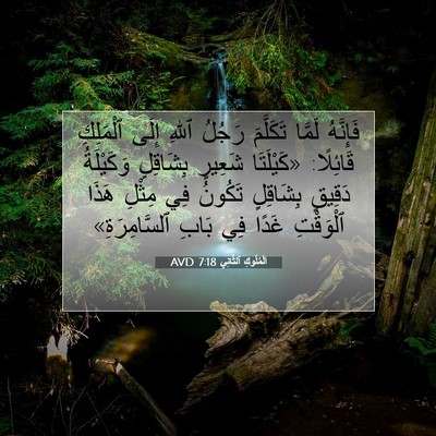 Picture 07 - اَلْمُلُوكِ ٱلثَّانِي 7:18 AVD - فَإِنَّهُ لَمَّا - Bible Verse Picture