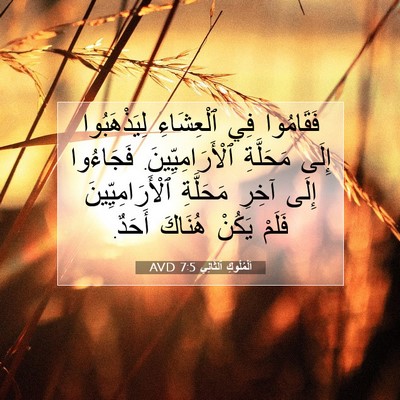 Picture 07 - اَلْمُلُوكِ ٱلثَّانِي 7:5 AVD - فَقَامُوا فِي ٱلْعِشَاءِ - Bible Verse Picture