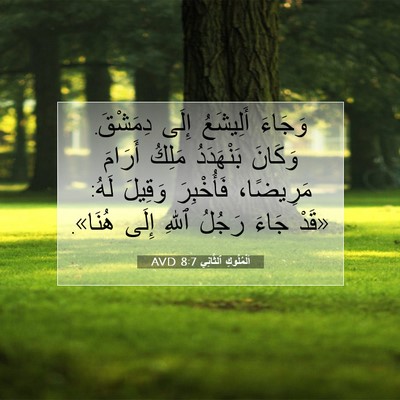 Picture 07 - اَلْمُلُوكِ ٱلثَّانِي 8:7 AVD - وَجَاءَ أَلِيشَعُ إِلَى - Bible Verse Picture