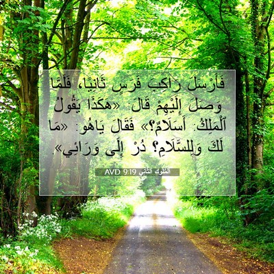 Picture 07 - اَلْمُلُوكِ ٱلثَّانِي 9:19 AVD - فَأَرْسَلَ رَاكِبَ فَرَسٍ - Bible Verse Picture