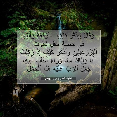 Picture 07 - اَلْمُلُوكِ ٱلثَّانِي 9:25 AVD - وَقَالَ لِبِدْقَرَ - Bible Verse Picture
