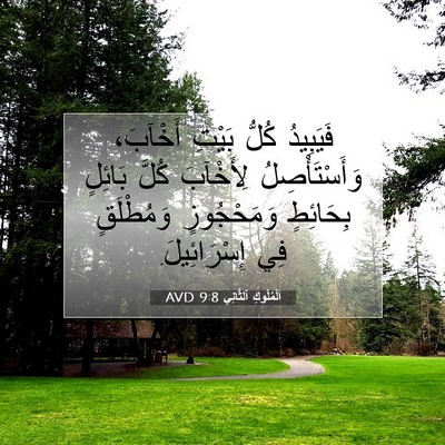 Picture 07 - اَلْمُلُوكِ ٱلثَّانِي 9:8 AVD - فَيَبِيدُ كُلُّ بَيْتِ - Bible Verse Picture