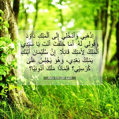 Picture 07 - اَلْمُلُوكِ ٱلْأَوَّلُ 1:13 AVD - اِذْهَبِي وَٱدْخُلِي - Bible Verse Picture