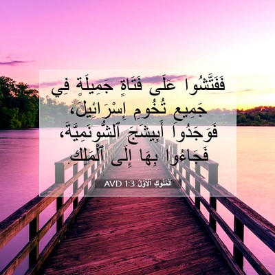 Picture 07 - اَلْمُلُوكِ ٱلْأَوَّلُ 1:3 AVD - فَفَتَّشُوا عَلَى فَتَاةٍ - Bible Verse Picture