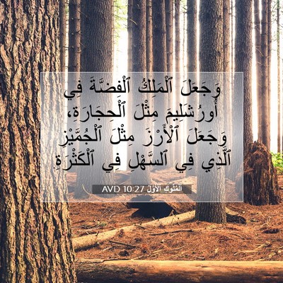 Picture 07 - اَلْمُلُوكِ ٱلْأَوَّلُ 10:27 AVD - وَجَعَلَ ٱلْمَلِكُ - Bible Verse Picture
