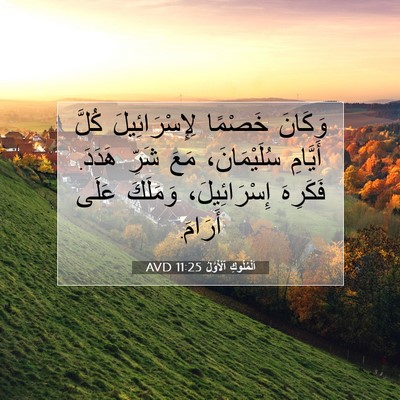 Picture 07 - اَلْمُلُوكِ ٱلْأَوَّلُ 11:25 AVD - وَكَانَ خَصْمًا - Bible Verse Picture