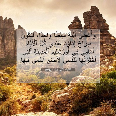 Picture 07 - اَلْمُلُوكِ ٱلْأَوَّلُ 11:36 AVD - وَأُعْطِي ٱبْنَهُ سِبْطًا - Bible Verse Picture