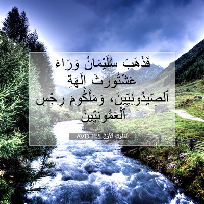 Picture 07 - اَلْمُلُوكِ ٱلْأَوَّلُ 11:5 AVD - فَذَهَبَ سُلَيْمَانُ - Bible Verse Picture