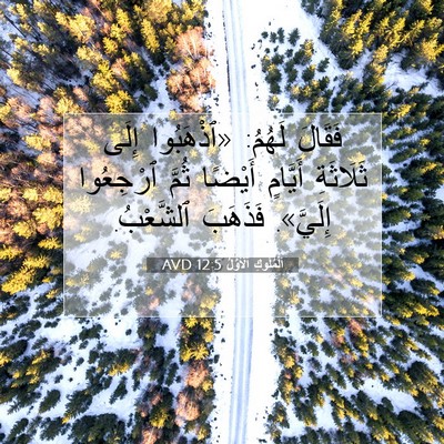 Picture 07 - اَلْمُلُوكِ ٱلْأَوَّلُ 12:5 AVD - فَقَالَ لَهُمُ: «ٱذْهَبُوا - Bible Verse Picture