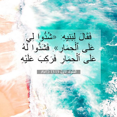 Picture 07 - اَلْمُلُوكِ ٱلْأَوَّلُ 13:13 AVD - فَقَالَ لِبَنِيهِ: - Bible Verse Picture