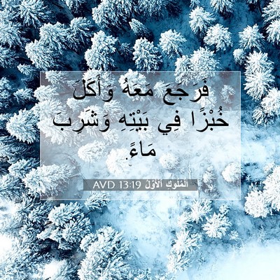 Picture 07 - اَلْمُلُوكِ ٱلْأَوَّلُ 13:19 AVD - فَرَجَعَ مَعَهُ وَأَكَلَ - Bible Verse Picture