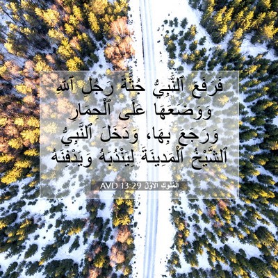 Picture 07 - اَلْمُلُوكِ ٱلْأَوَّلُ 13:29 AVD - فَرَفَعَ ٱلنَّبِيُّ - Bible Verse Picture