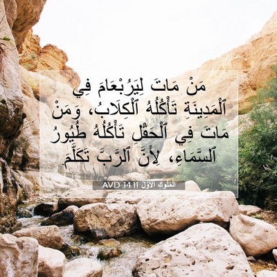 Picture 07 - اَلْمُلُوكِ ٱلْأَوَّلُ 14:11 AVD - مَنْ مَاتَ لِيَرُبْعَامَ - Bible Verse Picture