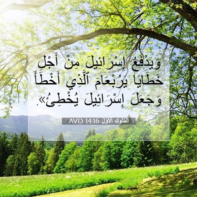 Picture 07 - اَلْمُلُوكِ ٱلْأَوَّلُ 14:16 AVD - وَيَدْفَعُ إِسْرَائِيلَ - Bible Verse Picture