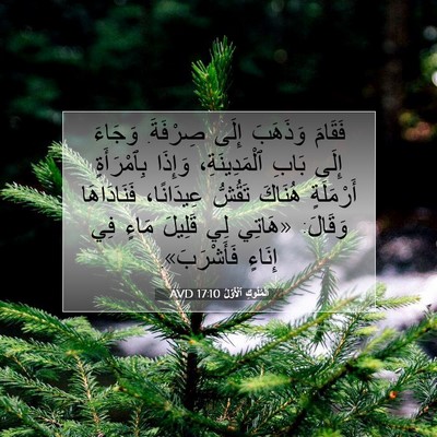 Picture 07 - اَلْمُلُوكِ ٱلْأَوَّلُ 17:10 AVD - فَقَامَ وَذَهَبَ إِلَى - Bible Verse Picture