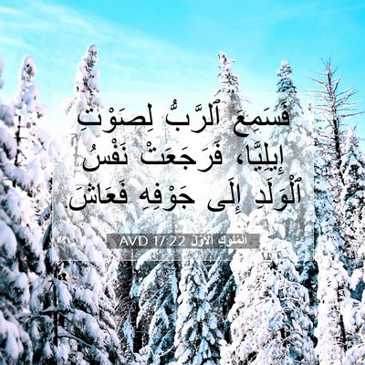 Picture 07 - اَلْمُلُوكِ ٱلْأَوَّلُ 17:22 AVD - فَسَمِعَ ٱلرَّبُّ - Bible Verse Picture