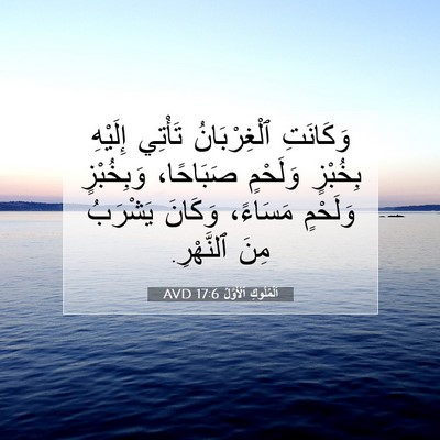 Picture 07 - اَلْمُلُوكِ ٱلْأَوَّلُ 17:6 AVD - وَكَانَتِ ٱلْغِرْبَانُ - Bible Verse Picture
