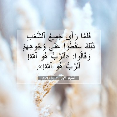 Picture 07 - اَلْمُلُوكِ ٱلْأَوَّلُ 18:39 AVD - فَلَمَّا رَأَى جَمِيعُ - Bible Verse Picture