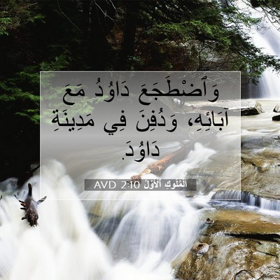 Picture 07 - اَلْمُلُوكِ ٱلْأَوَّلُ 2:10 AVD - وَٱضْطَجَعَ دَاوُدُ مَعَ - Bible Verse Picture