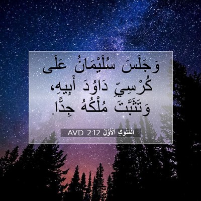 Picture 07 - اَلْمُلُوكِ ٱلْأَوَّلُ 2:12 AVD - وَجَلَسَ سُلَيْمَانُ - Bible Verse Picture