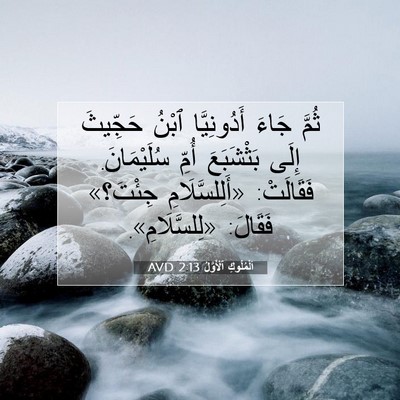 Picture 07 - اَلْمُلُوكِ ٱلْأَوَّلُ 2:13 AVD - ثُمَّ جَاءَ أَدُونِيَّا - Bible Verse Picture