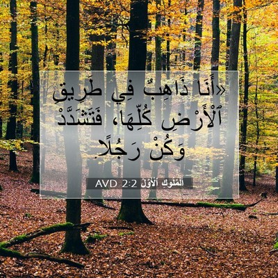Picture 07 - اَلْمُلُوكِ ٱلْأَوَّلُ 2:2 AVD - «أَنَا ذَاهِبٌ فِي طَرِيقِ - Bible Verse Picture