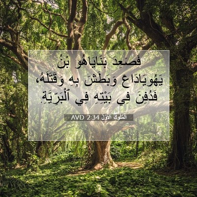 Picture 07 - اَلْمُلُوكِ ٱلْأَوَّلُ 2:34 AVD - فَصَعِدَ بَنَايَاهُو بْنُ - Bible Verse Picture