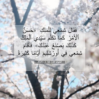 Picture 07 - اَلْمُلُوكِ ٱلْأَوَّلُ 2:38 AVD - فَقَالَ شِمْعِي - Bible Verse Picture