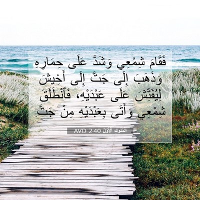 Picture 07 - اَلْمُلُوكِ ٱلْأَوَّلُ 2:40 AVD - فَقَامَ شِمْعِي وَشَدَّ - Bible Verse Picture