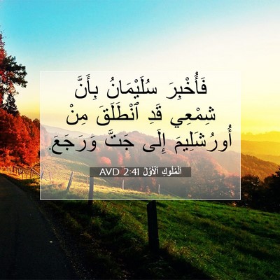 Picture 07 - اَلْمُلُوكِ ٱلْأَوَّلُ 2:41 AVD - فَأُخْبِرَ سُلَيْمَانُ - Bible Verse Picture