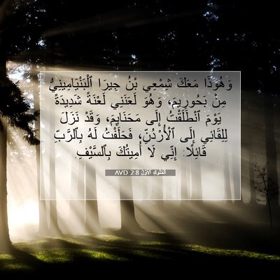 Picture 07 - اَلْمُلُوكِ ٱلْأَوَّلُ 2:8 AVD - وَهُوَذَا مَعَكَ شِمْعِي - Bible Verse Picture