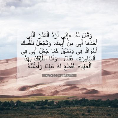 Picture 07 - اَلْمُلُوكِ ٱلْأَوَّلُ 20:34 AVD - وَقَالَ لَهُ: «إِنِّي - Bible Verse Picture