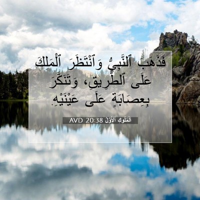 Picture 07 - اَلْمُلُوكِ ٱلْأَوَّلُ 20:38 AVD - فَذَهَبَ ٱلنَّبِيُّ - Bible Verse Picture