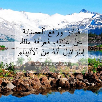 Picture 07 - اَلْمُلُوكِ ٱلْأَوَّلُ 20:41 AVD - فَبَادَرَ وَرَفَعَ - Bible Verse Picture