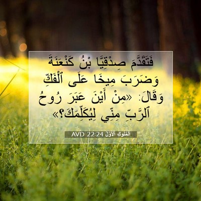 Picture 07 - اَلْمُلُوكِ ٱلْأَوَّلُ 22:24 AVD - فَتَقَدَّمَ صِدْقِيَّا - Bible Verse Picture
