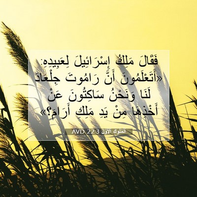 Picture 07 - اَلْمُلُوكِ ٱلْأَوَّلُ 22:3 AVD - فَقَالَ مَلِكُ - Bible Verse Picture