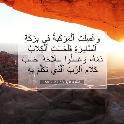 Picture 07 - اَلْمُلُوكِ ٱلْأَوَّلُ 22:38 AVD - وَغُسِلَتِ ٱلْمَرْكَبَةُ - Bible Verse Picture