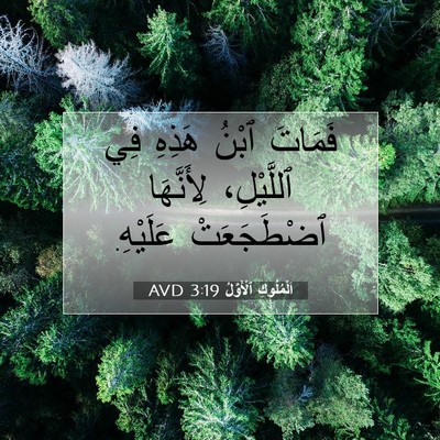 Picture 07 - اَلْمُلُوكِ ٱلْأَوَّلُ 3:19 AVD - فَمَاتَ ٱبْنُ هَذِهِ فِي - Bible Verse Picture