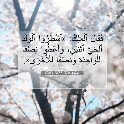 Picture 07 - اَلْمُلُوكِ ٱلْأَوَّلُ 3:25 AVD - فَقَالَ ٱلْمَلِكُ: - Bible Verse Picture