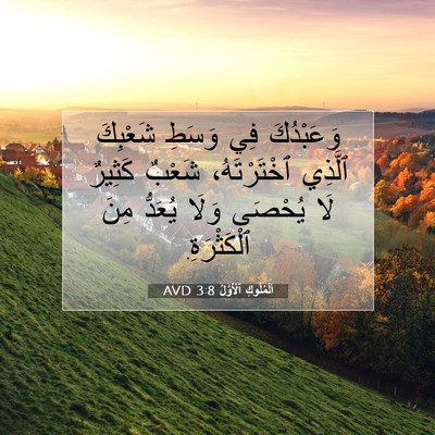 Picture 07 - اَلْمُلُوكِ ٱلْأَوَّلُ 3:8 AVD - وَعَبْدُكَ فِي وَسَطِ - Bible Verse Picture