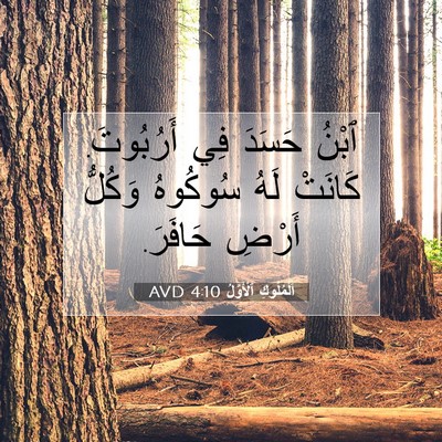 Picture 07 - اَلْمُلُوكِ ٱلْأَوَّلُ 4:10 AVD - ٱبْنُ حَسَدَ فِي - Bible Verse Picture